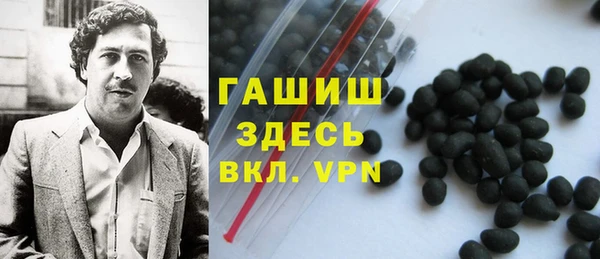 гашик Богданович