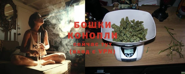гашик Богданович