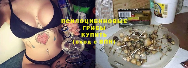 гашик Богданович