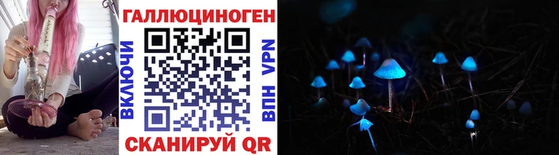 хочу   Валуйки  Псилоцибиновые грибы Psilocybine cubensis 